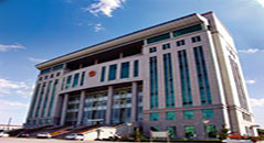  木业建筑模板--秦皇岛法院项目