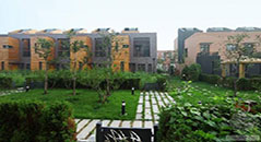  木业建筑模板--万科-东丽湖六期(碧湖苑、碧虹苑)