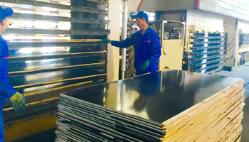  木业有限公司 建筑模板